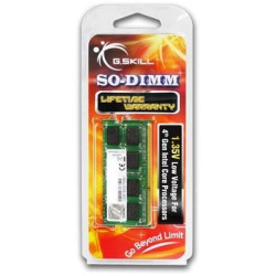 G.Skill 4GB DDR3-1600...