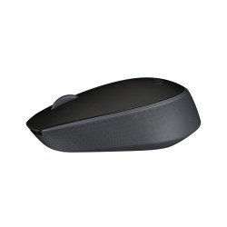 MOUSE USB OPTICAL WRL...