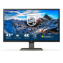 Philips P Line 439P1/00...