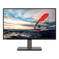 Lenovo ThinkVision P25i-30...