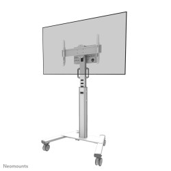 Neomounts FL50S-825WH1 TV...