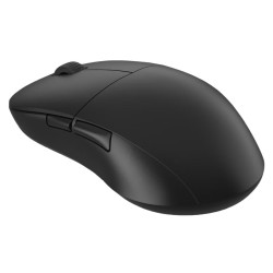 Endgame Gear XM2we mouse...