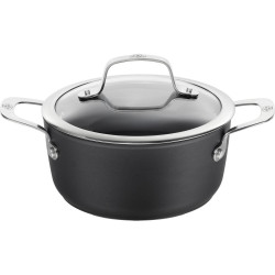 Titanium induction pot with...