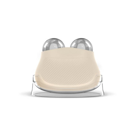 FACE MASSAGER WITH EMS TECHNOLOGY AND THERMOTHERAPY FUNCTION