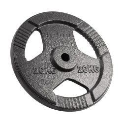 Cast iron weight 20kg, bore...