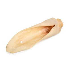 PETMEX White sheep ear Mono...