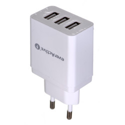 USB wall charger everActive...