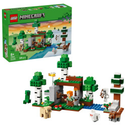 LEGO MINECRAFT 21593 First...