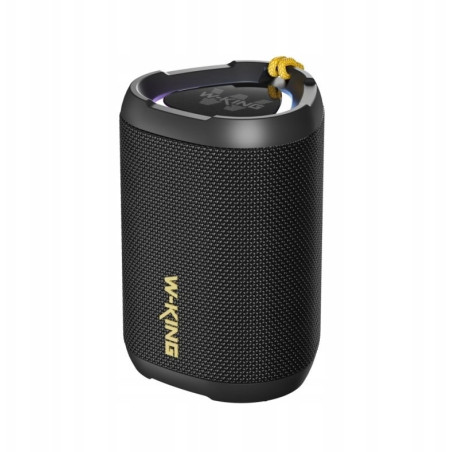 W-KING D110 Wireless Bluetooth Speaker – Black