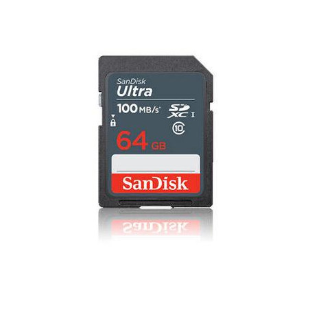 MEMORY SDXC 64GB UHS-I/SDSDUNR-064G-GN3IN SANDISK