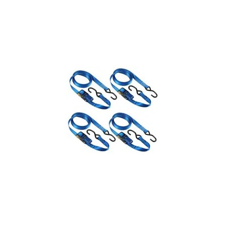 MASTER LOCK Spanngurt mit Ratsche und S-Haken,5mx25mm, 4Stk