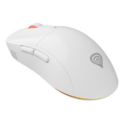 GENESIS Zircon XIII mouse...