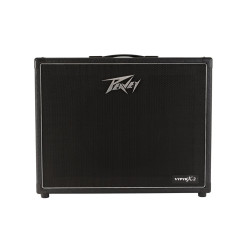 Peavey Electronics VYPYR X2...