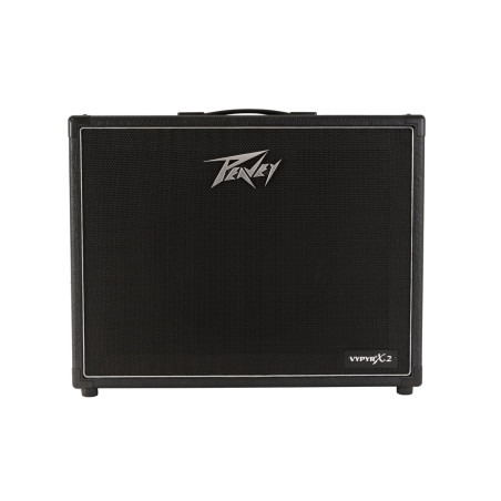 Peavey Electronics VYPYR X2 - 40W guitar amplifier