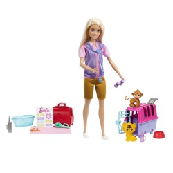 Barbie Doll and Accessories