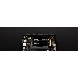 Kingston Technology FURY...