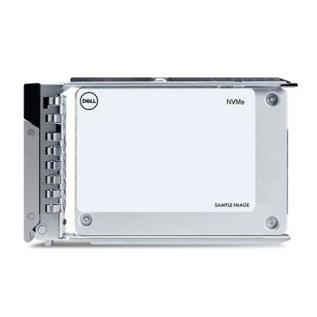 Dell SSD 2.5" / 960GB / NVMe / RI / U.2 Gen4 / Hot-Plug / 15G | Dell