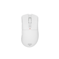 GENESIS Zircon 880 mouse...