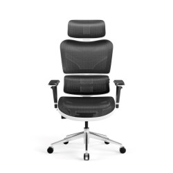 Diablo V-COMMANDER Office...