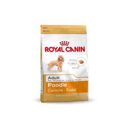 Royal Canin Poodle Adult 1.5 kg