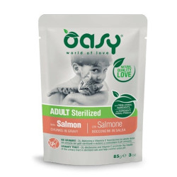 OASY Chunks in gravy...