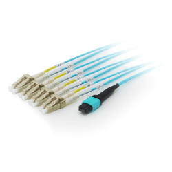 Equip MTP/MTP Trunk Fiber...