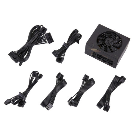 FSP DAGGER PRO 650W Power supply unit SFX SFX3.3 Black