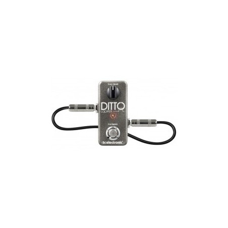 TC Electronic Ditto Looper Looper