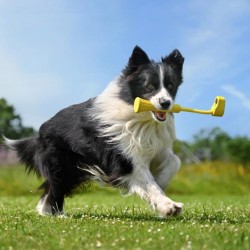 ACTION CAM ACC FETCH...