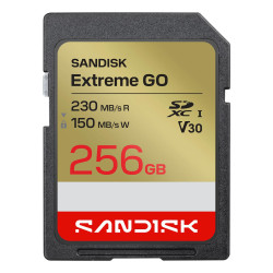 MEMORY SDXC 256GB...