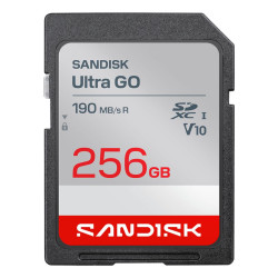 MEMORY SDXC 256GB...