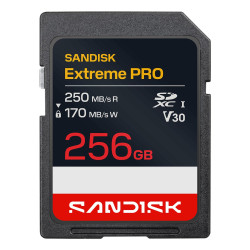 MEMORY SDXC 256GB...