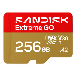 MEMORY MICRO SDXC 256GB...