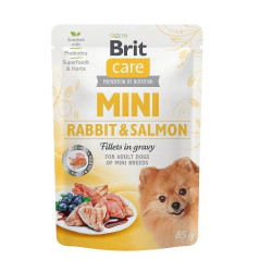 BRIT Care Mini...