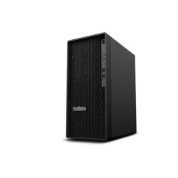 LENOVO P2 TWR...