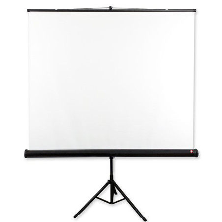 Avtek Tripod Standart 175 projection screen 1:1