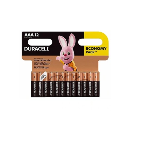 Duracell | Basic MN2400 BL12 | AAA