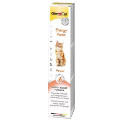 GIMCAT Energy Paste – cat...