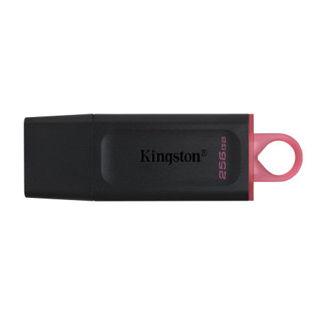 MEMORY DRIVE FLASH USB3.2/256GB DTX/256GB KINGSTON