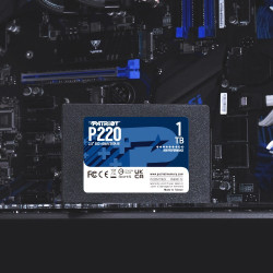 Patriot Memory P220 1TB...