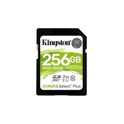 Kingston Technology 256GB...