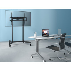 Equip 55"-100" Mobile...