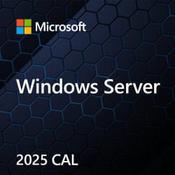 MS Windows Svr CAL 2025 PL...