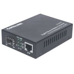 Intellinet Gigabit Ethernet...