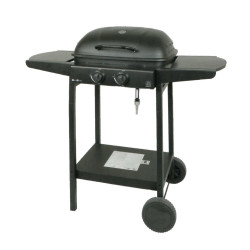 Master gas grill 2-burner...