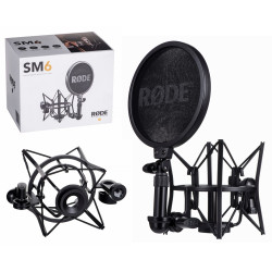 RØDE SM6 microphone...