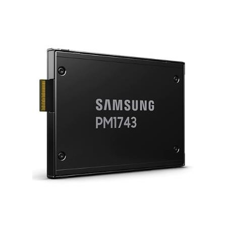 SSD|SAMSUNG|PM1743|3840 GB|PCI Express 5.0|NVMe Yes|2.5"|MZWLO3T8HCLS-00A07