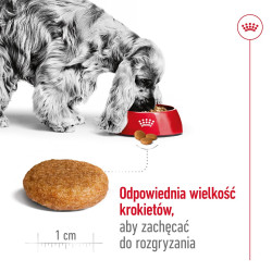 ROYAL CANIN Adult Medium -...