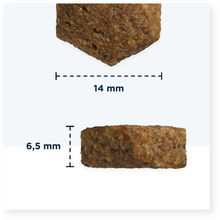 EUKANUBA Breed Specific Cocker Spaniel Adult - dry dog food - 7,5kg