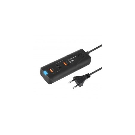Esperanza EZC109 mains charger 60W Black